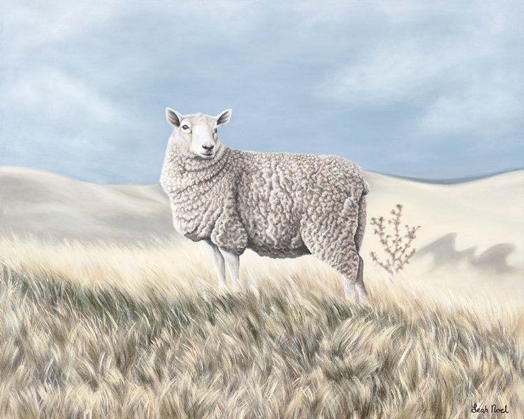 Picture of LOST SHEEP