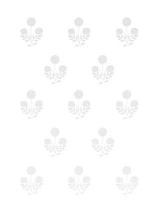 Picture of HELLO DAISY