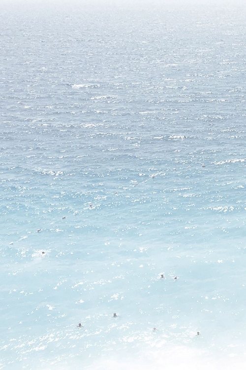 Picture of OCEAN LIFE 1