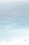 Picture of OCEAN LIFE 2