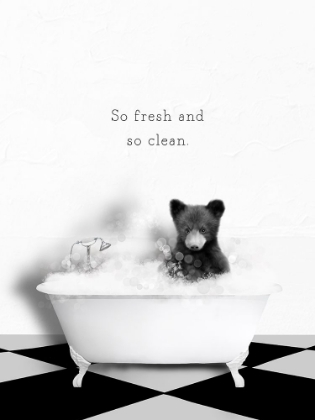 Picture of BW BEAR BATH SO CLEAN