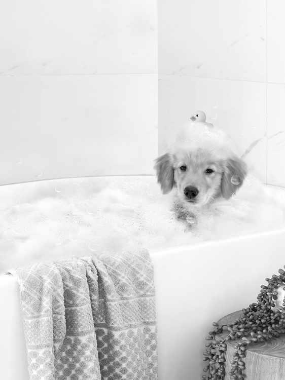 Picture of BATH TIME LAB
