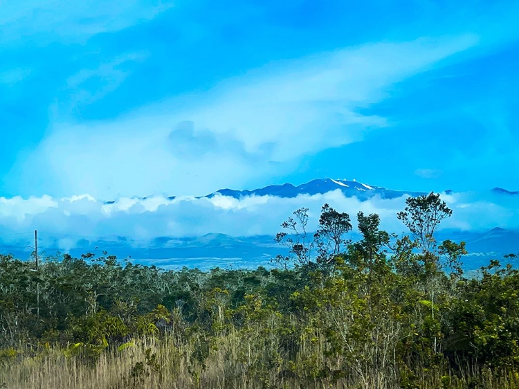 Picture of MAUNA KEA SPRINGTIME