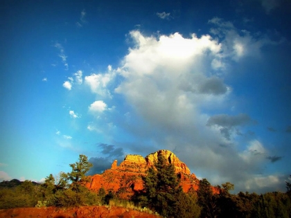 Picture of ARIZONA DESERTSCAPE