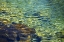 Picture of GROOVY TIDAL POOL