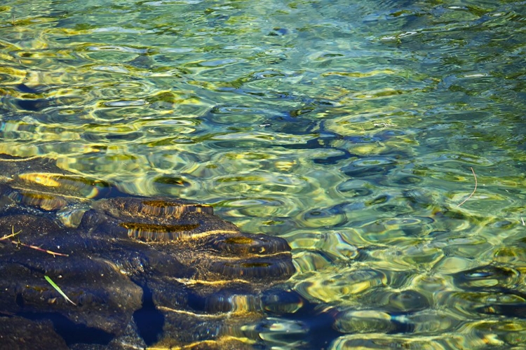 Picture of GROOVY TIDAL POOL