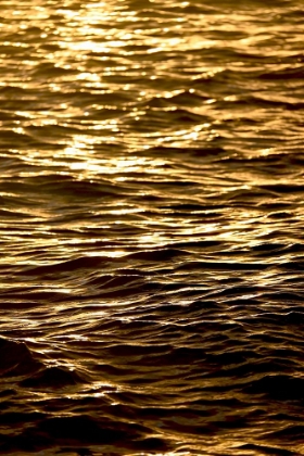 Picture of GLOWING GOLDEN SEA