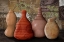 Picture of EXTRAVAGANT GROWTH VASES 1