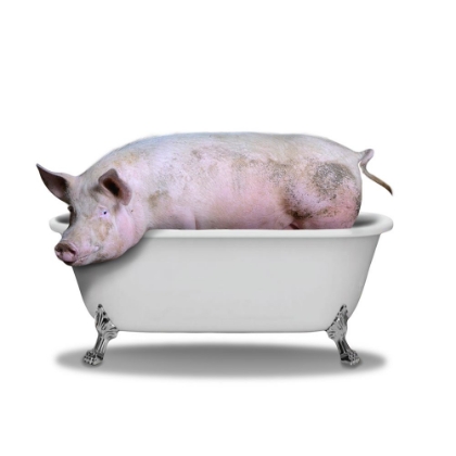 Picture of PIGGY BATH