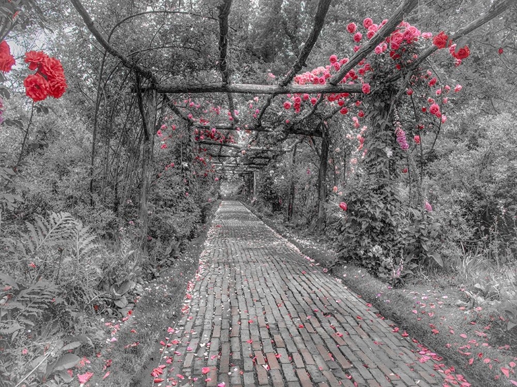 Picture of A PEACEFUL PATHWAY