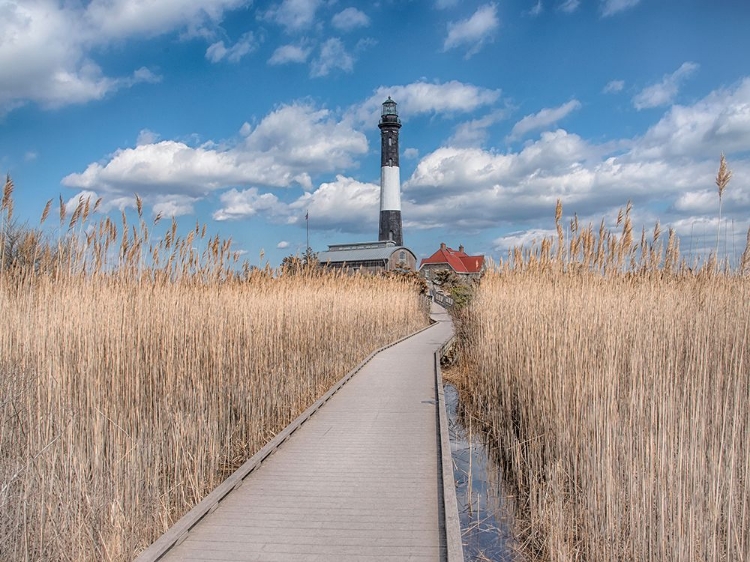 Picture of LIGHTHOUSE PATH