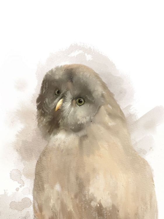 Picture of ANIMAL OWL