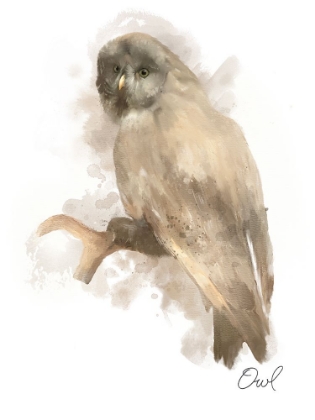 Picture of ANIMAL WOODLAND OWL