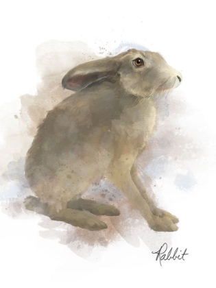 Picture of ANIMAL WOODLAND RABBIT