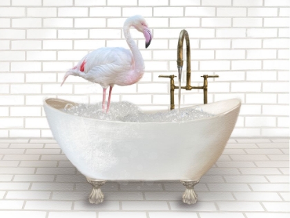 Picture of FLAMINGO IN BATHTUB