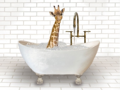 Picture of GIRAFFE IN BATHTUB