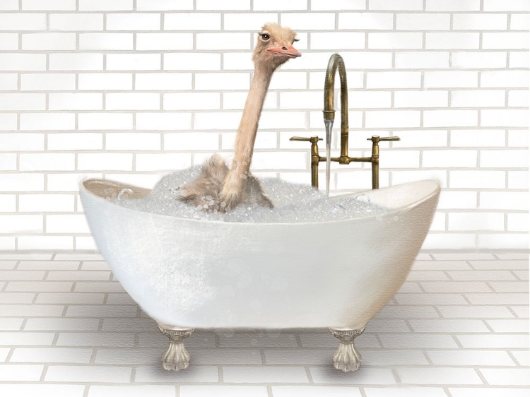 Picture of OSTRICH IN BATHTUB