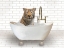 Picture of TIGER IN BATHTUB