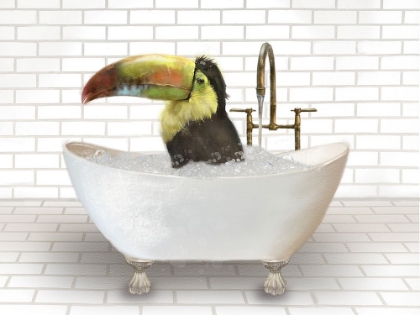Picture of TOUCAN IN BATHTUB
