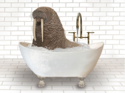 Picture of WALRUS IN BATHTUB