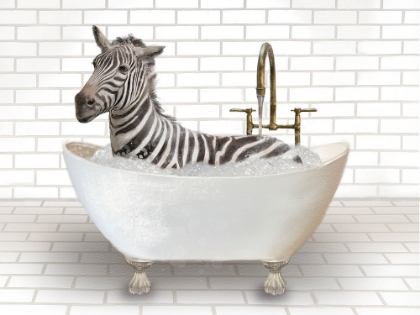 Picture of ZEBRA IN BATHTUB