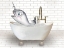 Picture of NARWHAL WHALE IN BATHTUB
