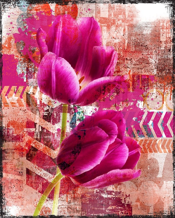 Picture of PINK TULIP