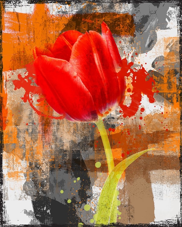 Picture of RED TULIP