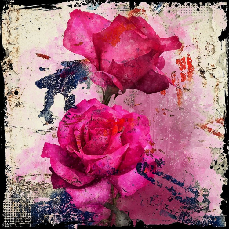 Picture of ROSES