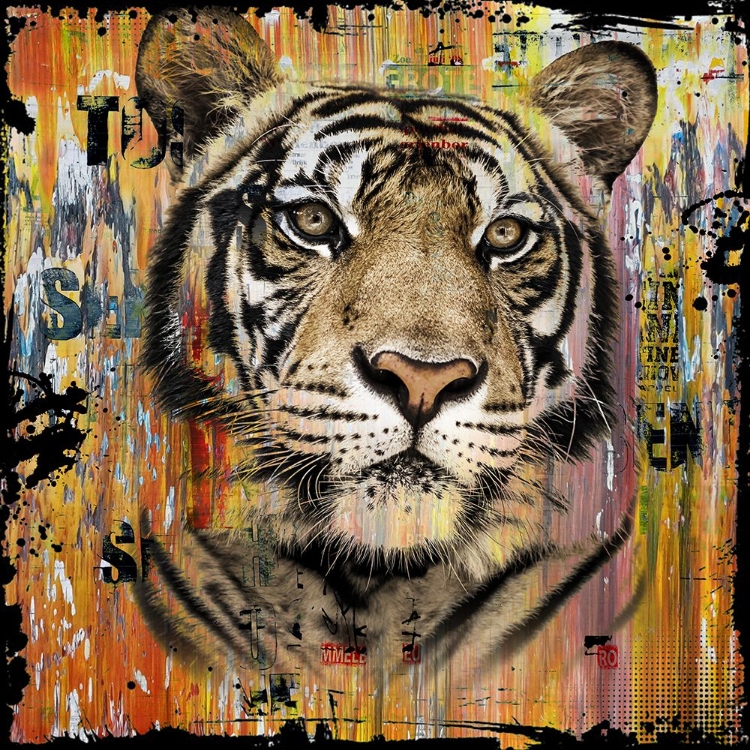 Picture of WILDLIFE TIGER