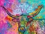 Picture of LOREDO LONGHORN