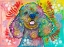 Picture of POODLE PUP