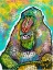 Picture of MANDRILL