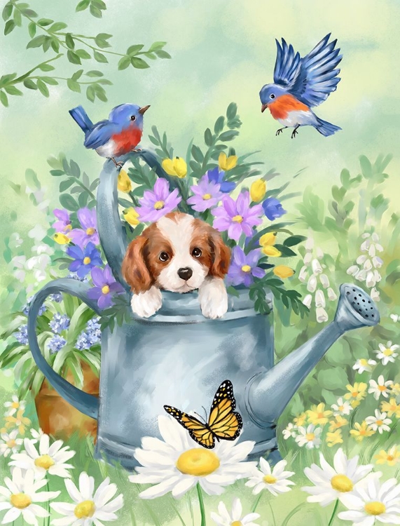 Picture of PUPPY IN WATER CARRIER