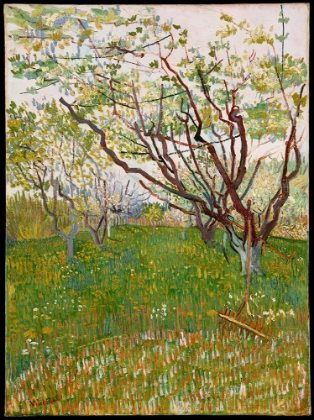 Picture of CHERRY TREE - VINCENT VAN GOGH