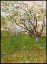 Picture of CHERRY TREE - VINCENT VAN GOGH
