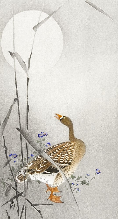 Picture of GOOSE AT FULL MOON - OHARA KOSON