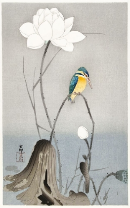 Picture of KINGFISHER WITH LOTUS FLOWER - OHARA KOSON