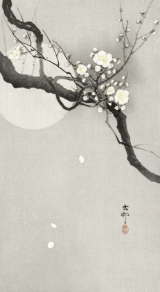 Picture of PLUM BLOSSOM AND FULL MOON - OHARA KOSON