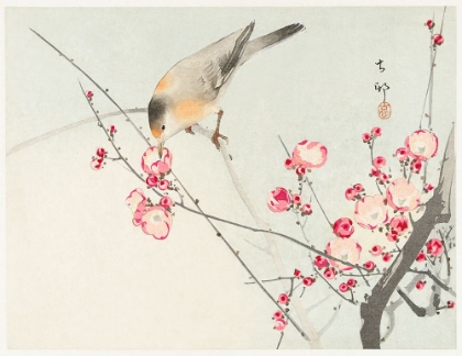 Picture of SONGBIRD ON BLOSSOM BRANCH - OHARA KOSON