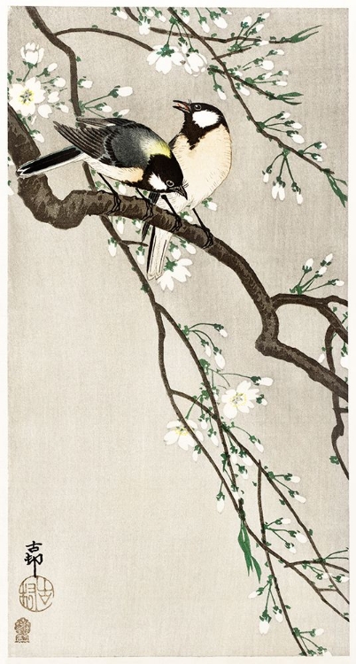 Picture of TITS ON CHERRY BRANCH - OHARA KOSON