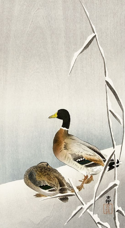 Picture of TWO DUCKS ON SNOWY REED - OHARA KOSON