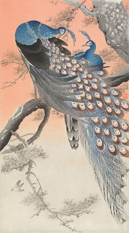Picture of TWO PEACOCKS ON TREE BRANCH - OHARA KOSON