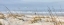 Picture of BEACH BIKE AND KITE PANORAMA