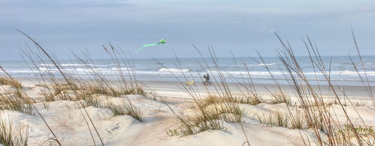 Picture of BEACH BIKE AND KITE PANORAMA