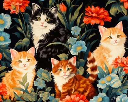 Picture of KITTENS