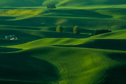 Picture of FARMHOUSE IN THE WAVES OF LIGHT