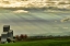 Picture of WINE COUNTRY SUNSET
