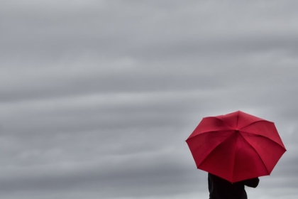 Picture of LITTLE RED UMBRELLA