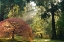 Picture of BATHED IN MORNING LIGHT